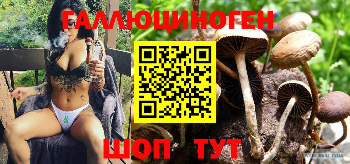 Галлюциногенные грибы Psilocybine cubensis Алушта
